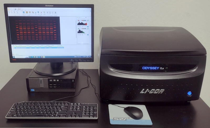 Odyssey CLx 9140 Imaging System